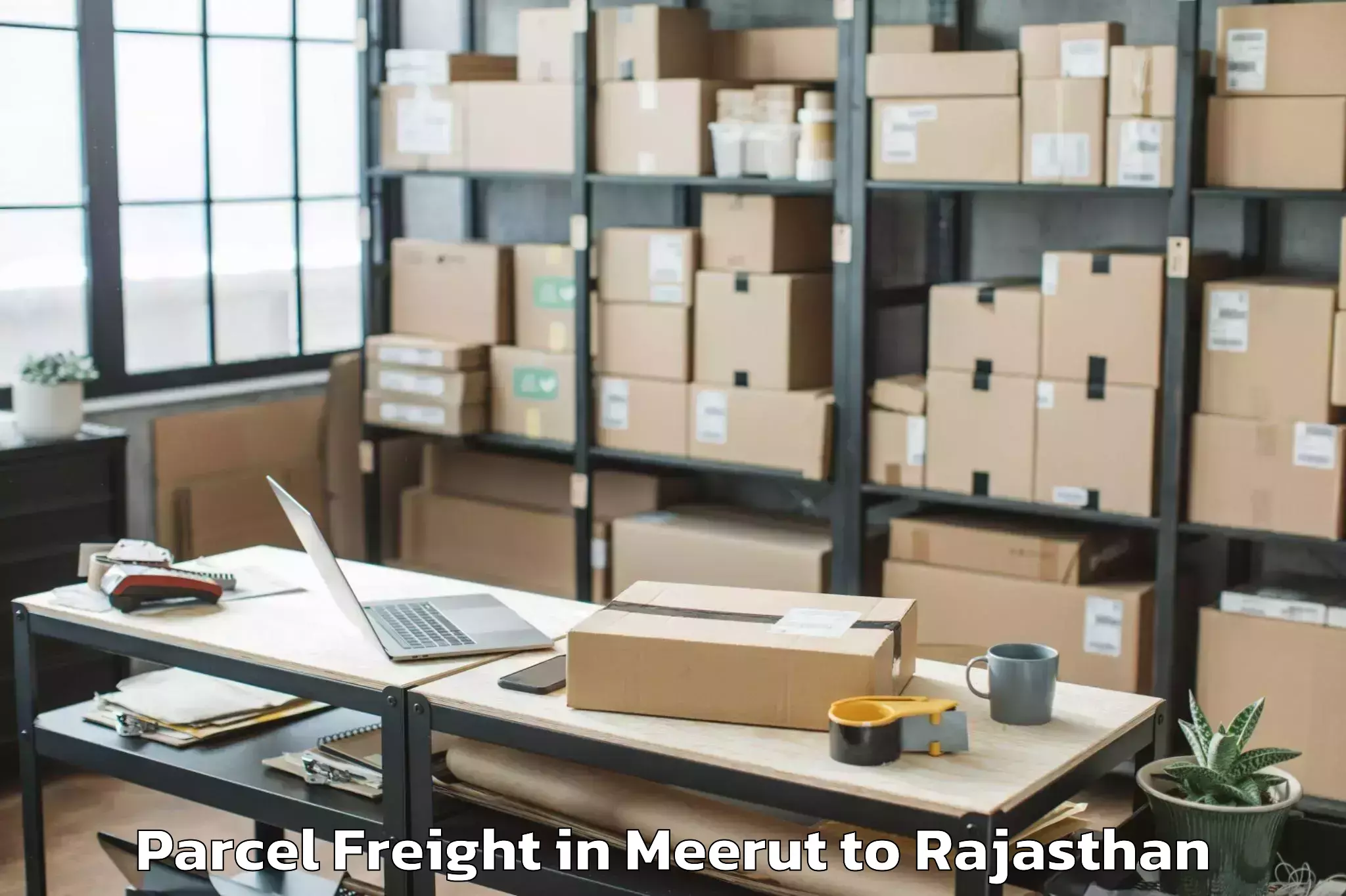 Quality Meerut to Pachpahar Parcel Freight